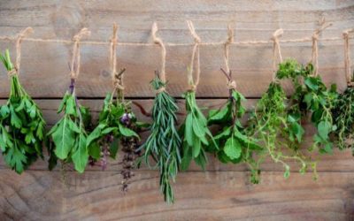 Helpful Herbs For Stress & Anxiety
